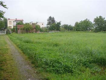 DSC00615