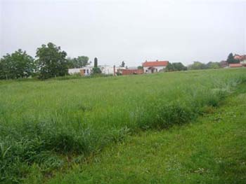 DSC00618