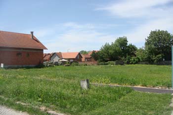DSC09488
