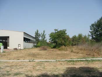 glavna