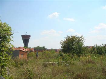 DSC01699
