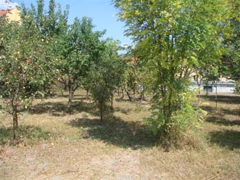 DSC01703