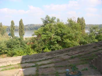 DSC02368