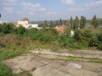 DSC02369