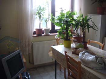 DSC02959