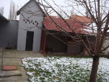 DSC02970