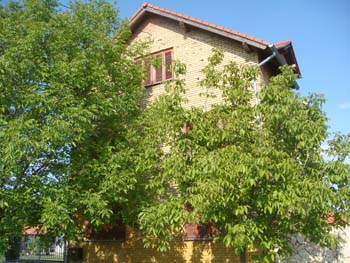 DSC03383