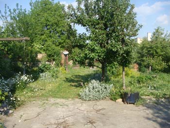 DSC03407