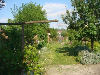 DSC03409