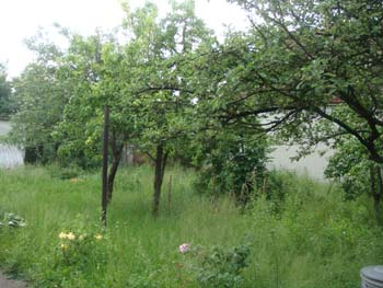 DSC03447