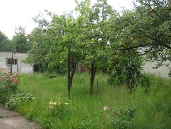 DSC03448
