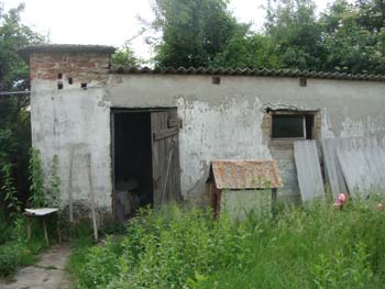 DSC03449