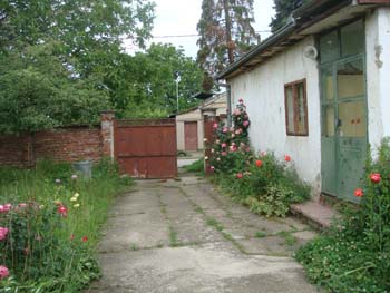 DSC03452