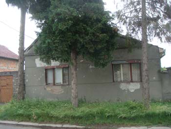 DSC03456