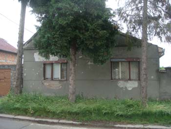 glavna
