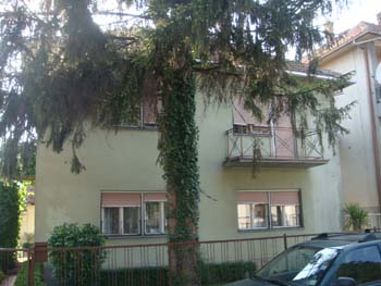 DSC03472