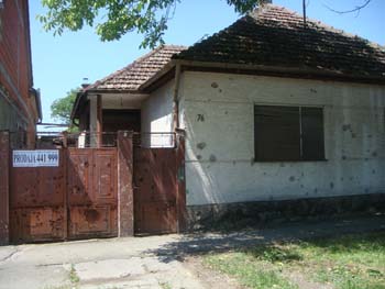 DSC03487