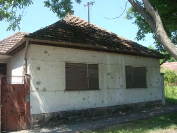 DSC03489