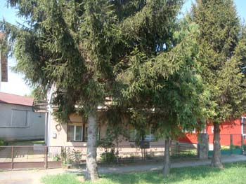 DSC03595