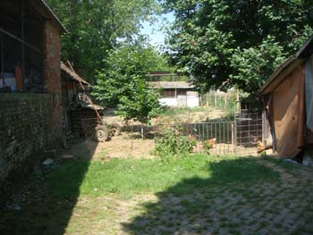 DSC03611