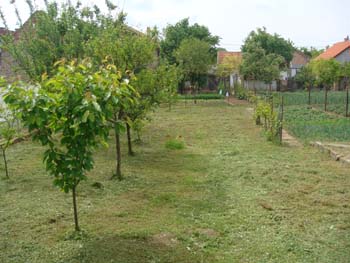 DSC02193