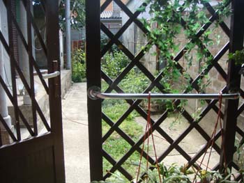 DSC03692