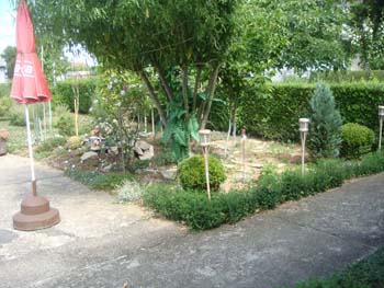 DSC03700