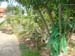 DSC03701
