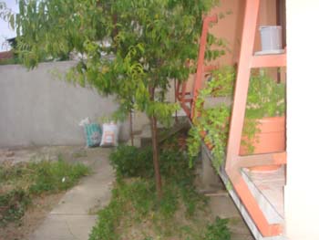 DSC03719