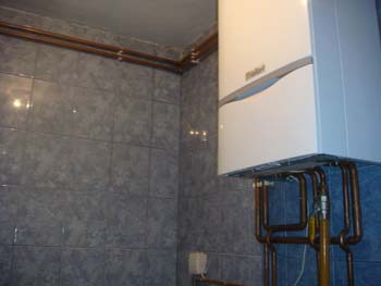 DSC03734