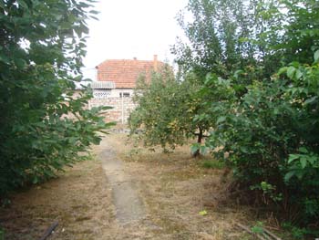 DSC03835