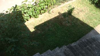 DSC03978