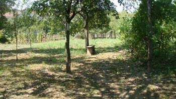 DSC04022