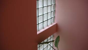 DSC04250
