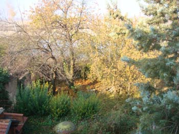 DSC04354