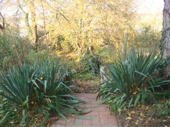 DSC04363