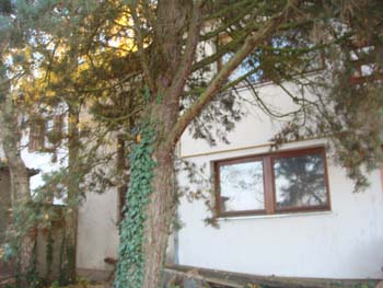 DSC04366