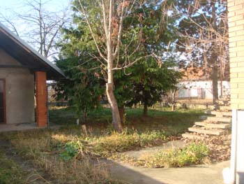 DSC04424