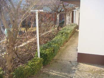 DSC04724