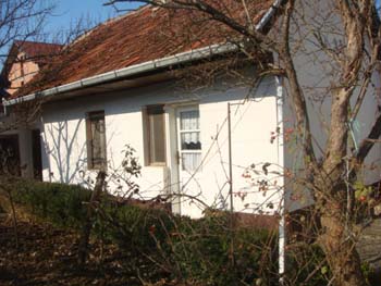 DSC04725