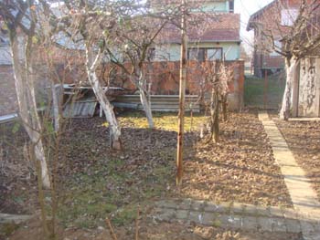 DSC04726