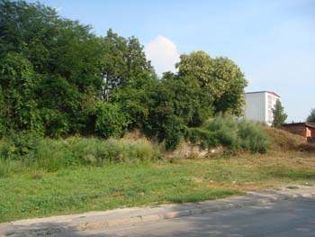 DSC01222