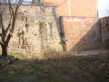 DSC04951