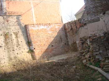 DSC04952
