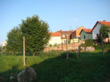 DSC03843