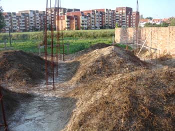 DSC03849