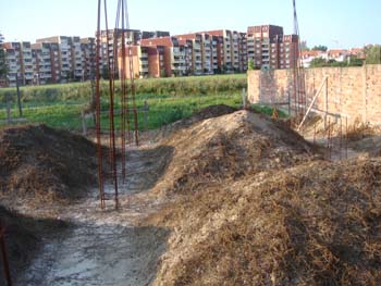 DSC03851