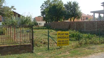 DSC04183